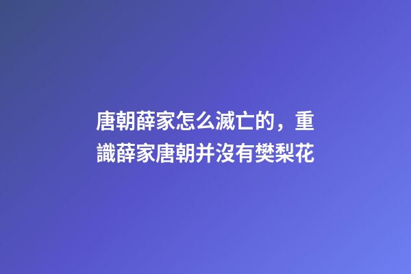唐朝薛家怎么滅亡的，重識薛家(三六)唐朝并沒有樊梨花