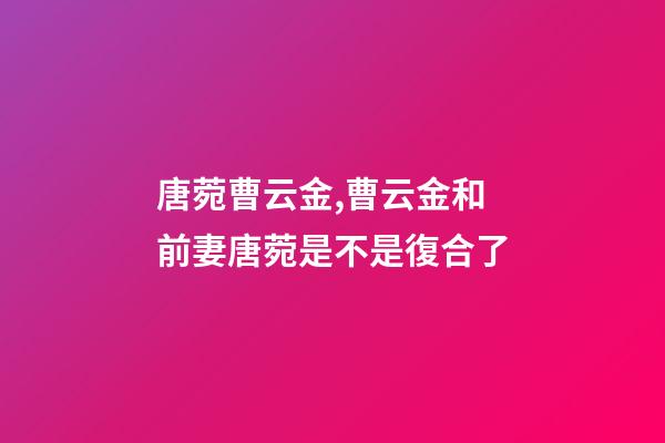 唐菀曹云金,曹云金和前妻唐菀是不是復合了-第1張-觀點-玄機派
