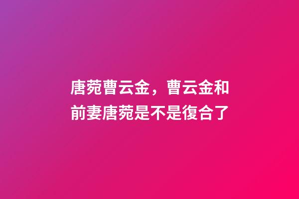 唐菀曹云金，曹云金和前妻唐菀是不是復合了-第1張-觀點-玄機派