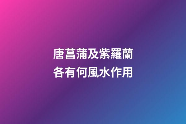 唐菖蒲及紫羅蘭各有何風水作用?