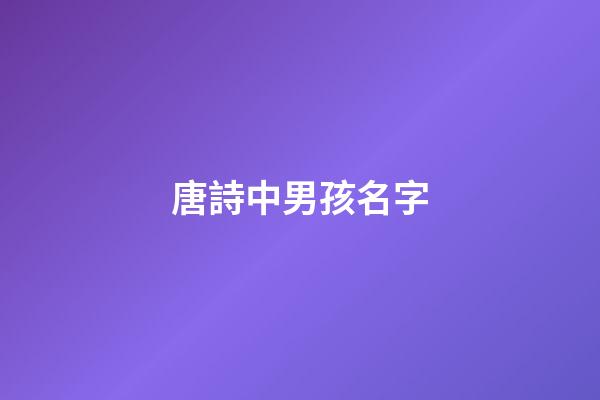 唐詩中男孩名字(唐詩里適合男孩的名字)-第1張-男孩起名-玄機派