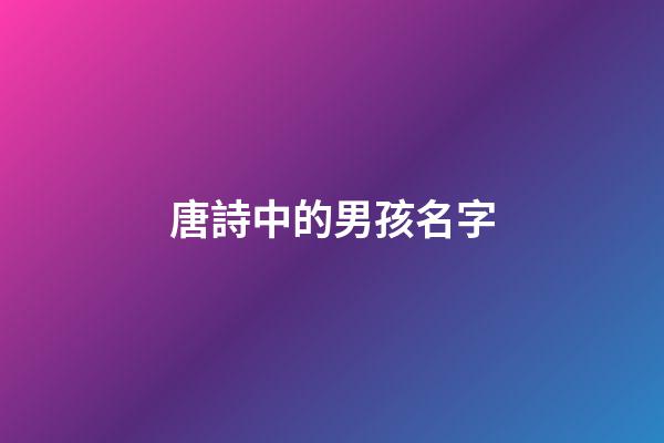 唐詩中的男孩名字(唐詩里面的男孩名字)-第1張-男孩起名-玄機派