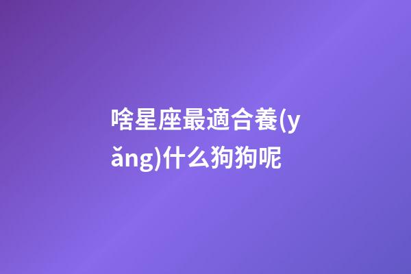 啥星座最適合養(yǎng)什么狗狗呢-第1張-星座運(yùn)勢(shì)-玄機(jī)派