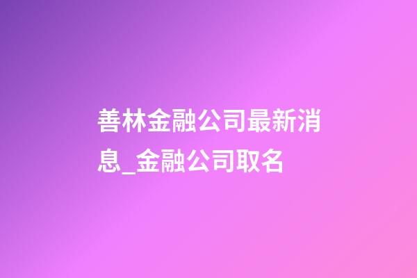 善林金融公司最新消息_金融公司取名-第1張-公司起名-玄機派