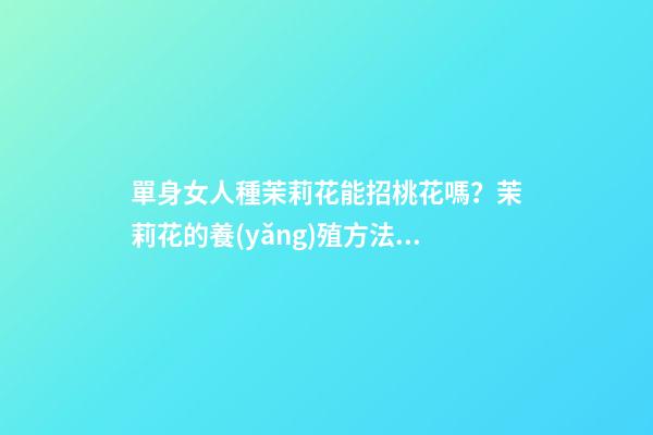 單身女人種茉莉花能招桃花嗎？茉莉花的養(yǎng)殖方法（怎樣種植茉莉花才多花）