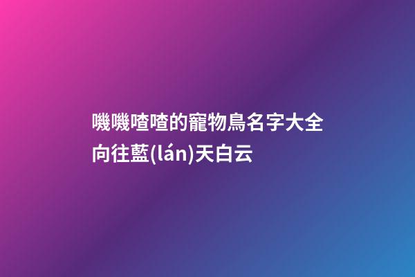 嘰嘰喳喳的寵物鳥名字大全向往藍(lán)天白云