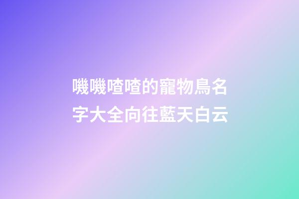 嘰嘰喳喳的寵物鳥名字大全向往藍天白云