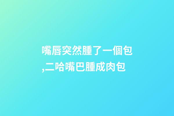 嘴唇突然腫了一個包,二哈嘴巴腫成肉包-第1張-觀點-玄機派