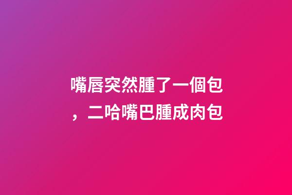 嘴唇突然腫了一個包，二哈嘴巴腫成肉包-第1張-觀點-玄機派