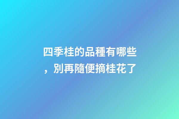 四季桂的品種有哪些，別再隨便摘桂花了-第1張-觀點(diǎn)-玄機(jī)派