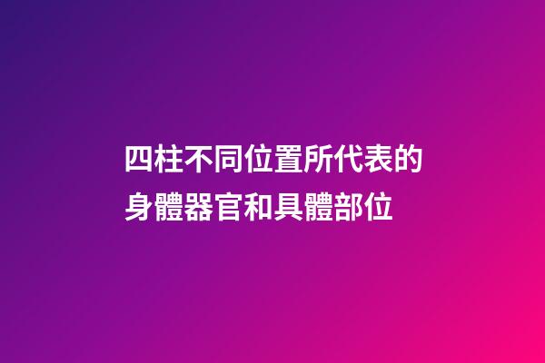 四柱不同位置所代表的身體器官和具體部位