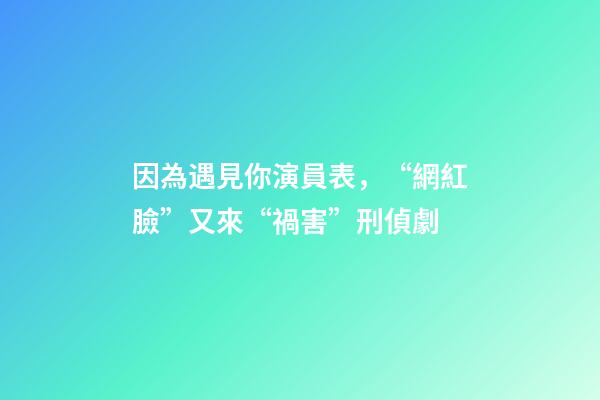 因為遇見你演員表，“網紅臉”又來“禍害”刑偵劇-第1張-觀點-玄機派