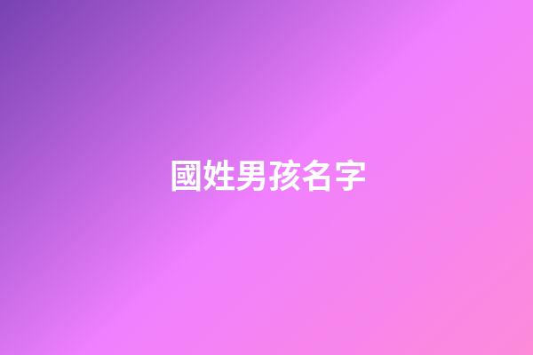 國姓男孩名字(男孩名字國字輩大全)-第1張-男孩起名-玄機派