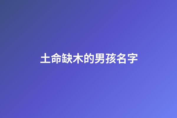 土命缺木的男孩名字(缺土缺木的男孩洋氣名字)-第1張-男孩起名-玄機派