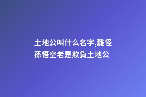 土地公叫什么名字,難怪孫悟空老是欺負土地公-第1張-觀點-玄機派