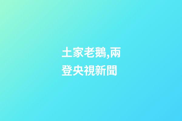 土家老鵝,兩登央視新聞-第1張-觀點-玄機派