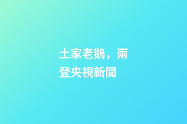 土家老鵝，兩登央視新聞-第1張-觀點-玄機派