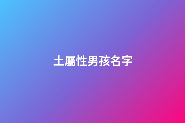 土屬性男孩名字(屬性土的字男孩名字)-第1張-男孩起名-玄機派