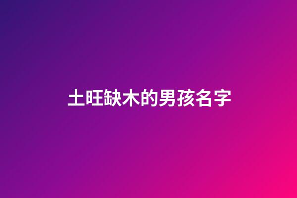 土旺缺木的男孩名字(屬土缺木的名字男孩)-第1張-男孩起名-玄機派