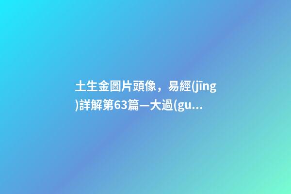 土生金圖片頭像，易經(jīng)詳解第63篇—大過(guò)的過(guò)