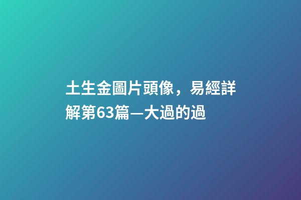 土生金圖片頭像，易經詳解第63篇—大過的過