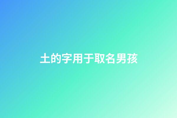 土的字用于取名男孩(土字起名男孩名字)-第1張-男孩起名-玄機派