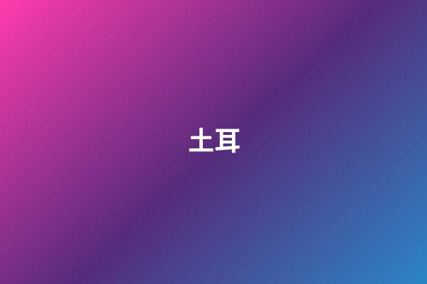 土耳