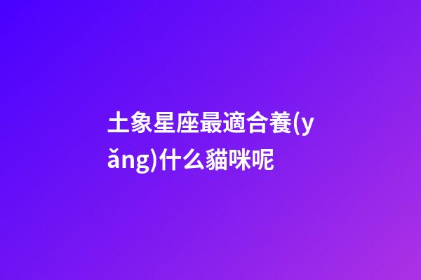 土象星座最適合養(yǎng)什么貓咪呢-第1張-星座運勢-玄機派
