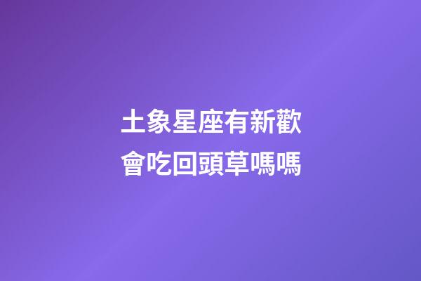 土象星座有新歡會吃回頭草嗎嗎-第1張-星座運勢-玄機派