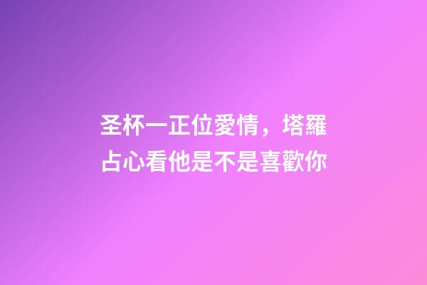 圣杯一正位愛情，塔羅占心看他是不是喜歡你-第1張-觀點-玄機派