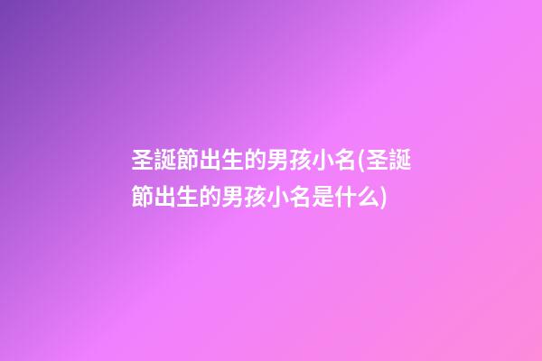 圣誕節出生的男孩小名(圣誕節出生的男孩小名是什么)