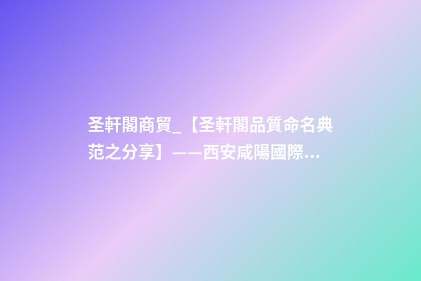 圣軒閣商貿_【圣軒閣品質命名典范之分享】——西安咸陽國際機場迅邦達貴賓服務中心命名及標志設計-第1張-公司起名-玄機派