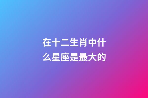 在十二生肖中什么星座是最大的-第1張-星座運(yùn)勢(shì)-玄機(jī)派