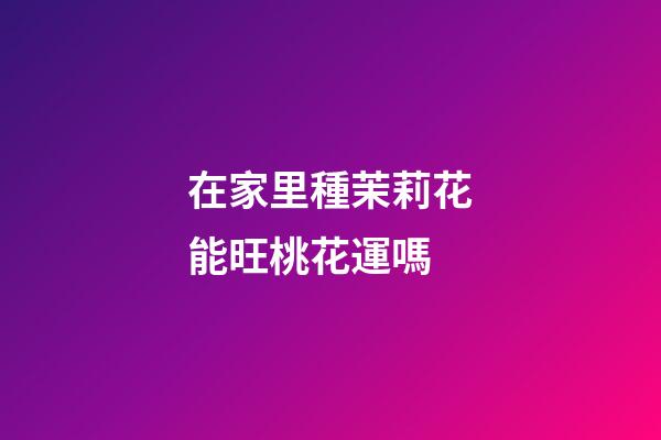 在家里種茉莉花能旺桃花運嗎