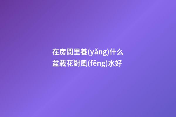在房間里養(yǎng)什么盆栽花對風(fēng)水好