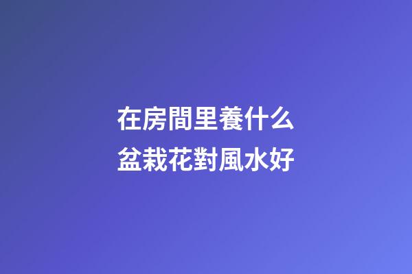 在房間里養什么盆栽花對風水好
