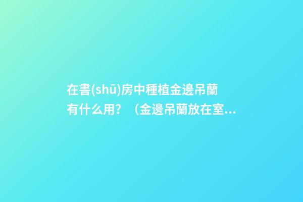 在書(shū)房中種植金邊吊蘭有什么用？（金邊吊蘭放在室內(nèi)好嗎）