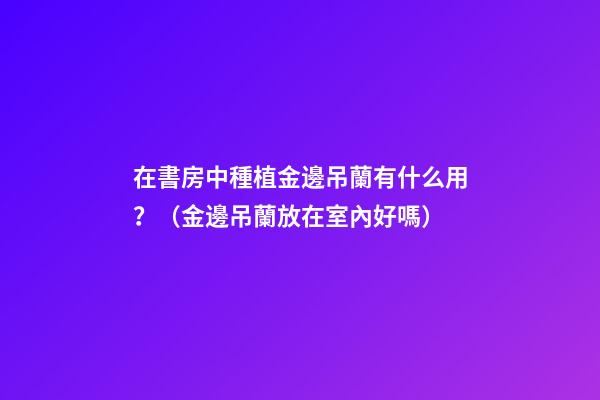 在書房中種植金邊吊蘭有什么用？（金邊吊蘭放在室內好嗎）