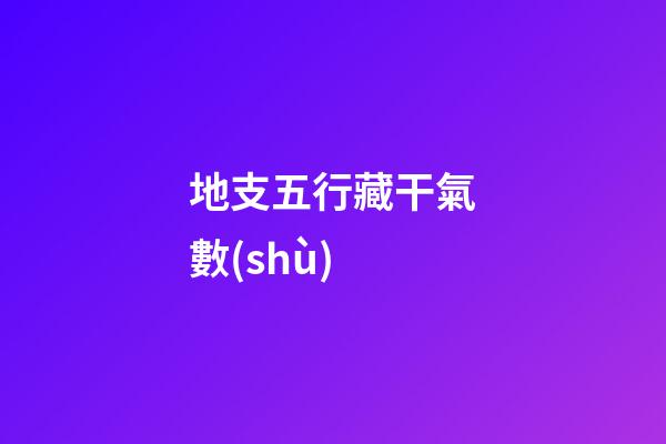 地支五行藏干氣數(shù)