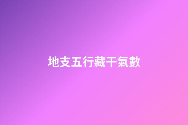 地支五行藏干氣數