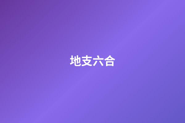地支六合