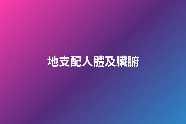 地支配人體及臟腑