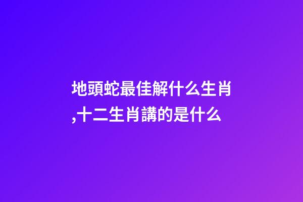 地頭蛇最佳解什么生肖,十二生肖講的是什么-第1張-觀點-玄機派