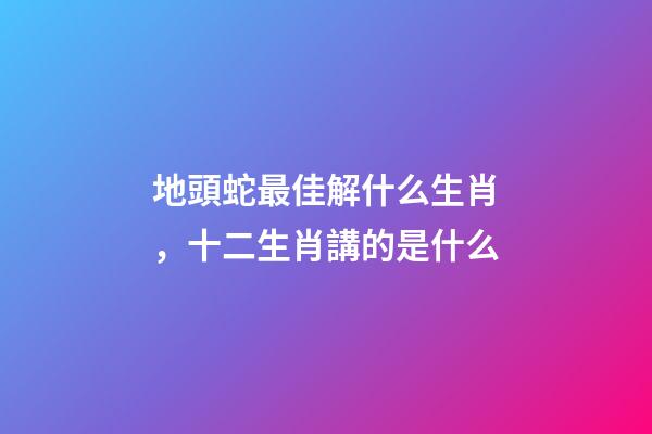 地頭蛇最佳解什么生肖，十二生肖講的是什么-第1張-觀點-玄機派