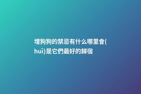 埋狗狗的禁忌有什么?哪里會(huì)是它們最好的歸宿?