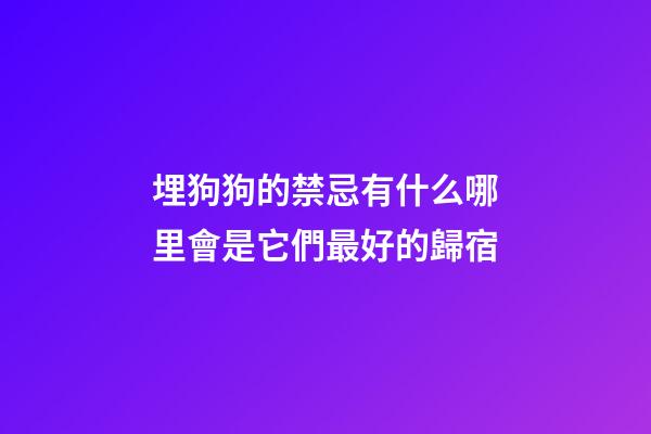 埋狗狗的禁忌有什么?哪里會是它們最好的歸宿?
