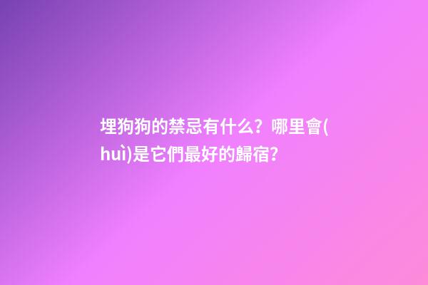 埋狗狗的禁忌有什么？哪里會(huì)是它們最好的歸宿？