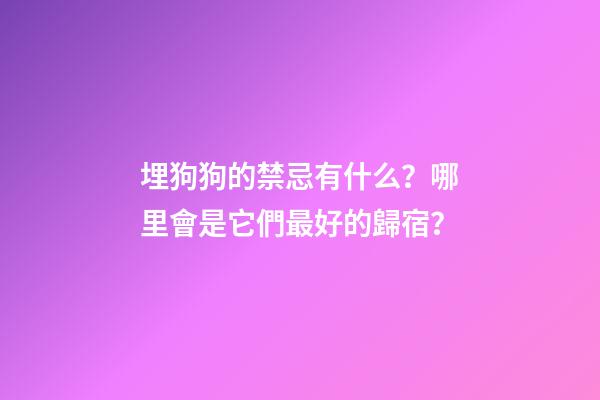 埋狗狗的禁忌有什么？哪里會是它們最好的歸宿？