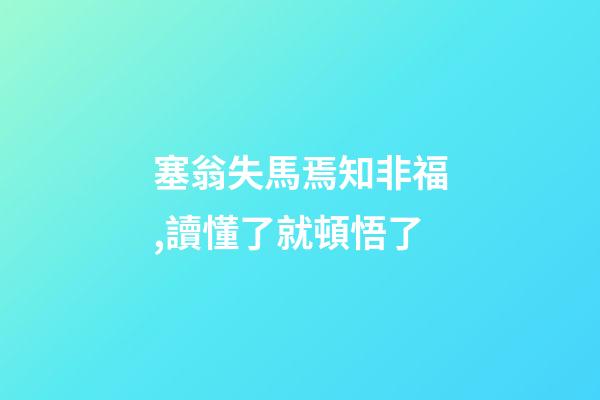 塞翁失馬焉知非福,讀懂了就頓悟了-第1張-觀點-玄機派