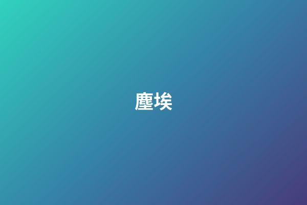 塵埃